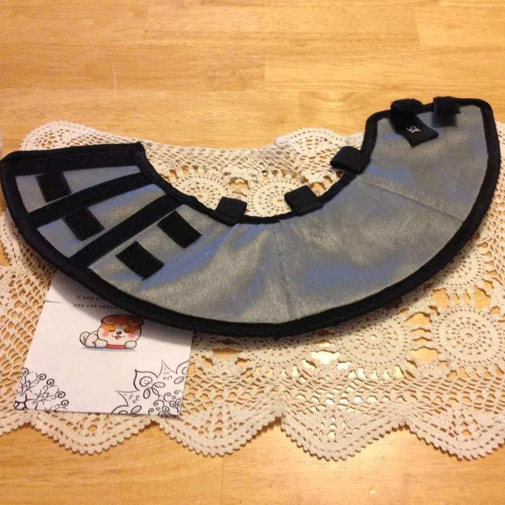 NWOT Dog Cone with soft inside, size XS